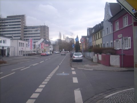 Strassenmaut in Bonn 2