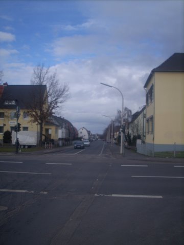 Strassenmaut in Bonn 1